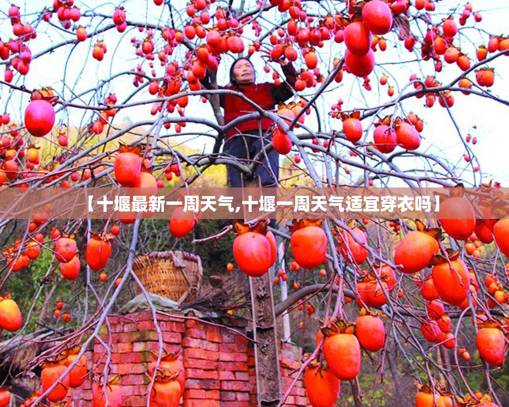 【十堰最新一周天气,十堰一周天气适宜穿衣吗】