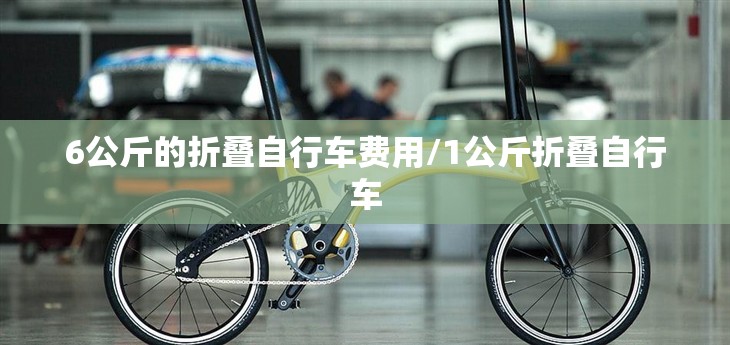 6公斤的折叠自行车费用/1公斤折叠自行车 6公斤的折叠自行车费用/1公斤折叠自行车