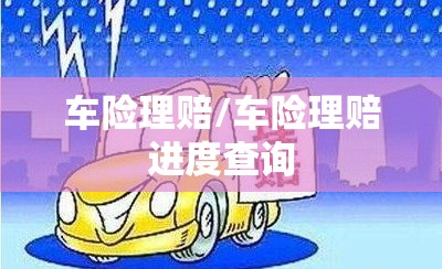 车险理赔/车险理赔进度查询