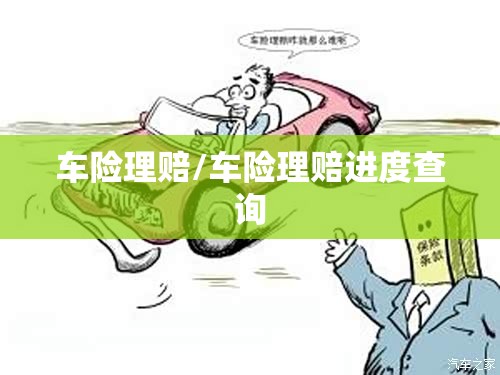 车险理赔/车险理赔进度查询