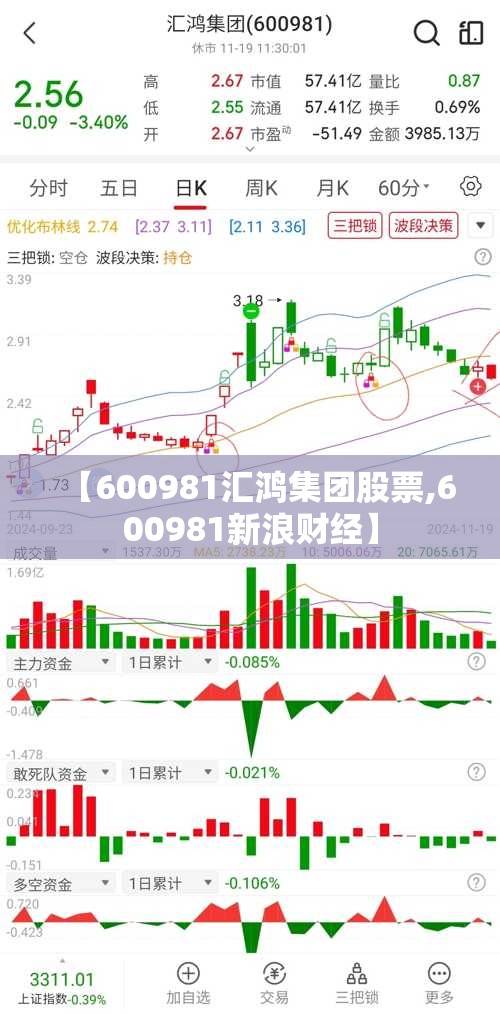【600981汇鸿集团股票,600981新浪财经】