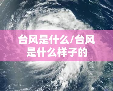 台风是什么/台风是什么样子的