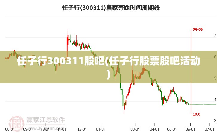 任子行300311股吧(任子行股票股吧活动)