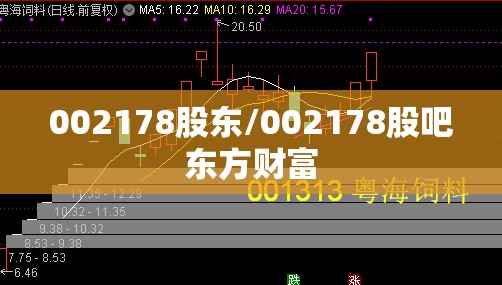 002178股东/002178股吧东方财富