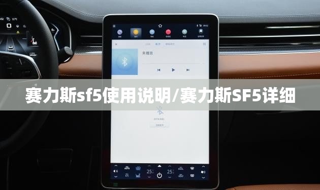 赛力斯sf5使用说明/赛力斯SF5详细