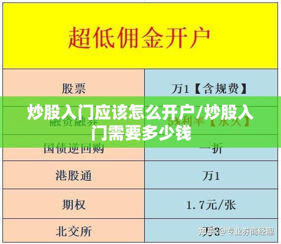 炒股入门应该怎么开户/炒股入门需要多少钱