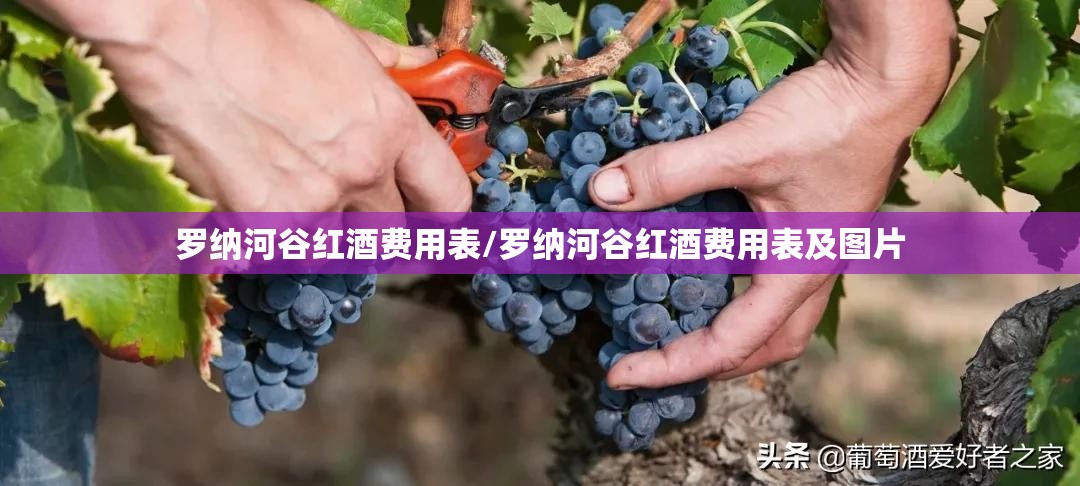 罗纳河谷红酒费用表/罗纳河谷红酒费用表及图片 罗纳河谷红酒费用表/罗纳河谷红酒费用表及图片