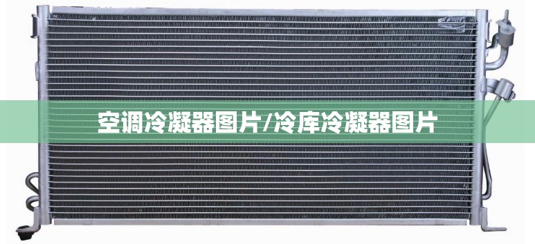 空调冷凝器图片/冷库冷凝器图片