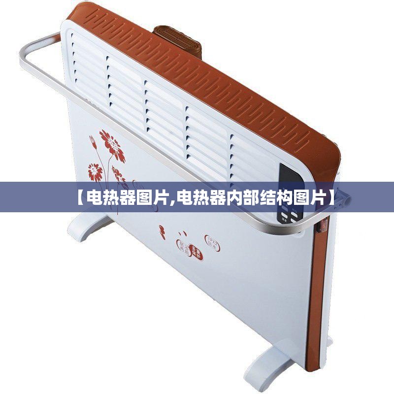 【电热器图片,电热器内部结构图片】