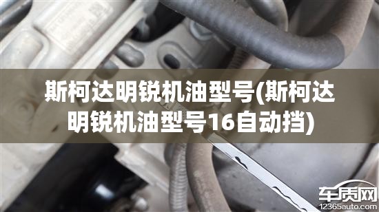 斯柯达明锐机油型号(斯柯达明锐机油型号16自动挡)