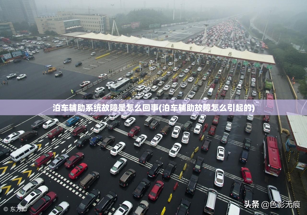 泊车辅助系统故障是怎么回事(泊车辅助故障怎么引起的)