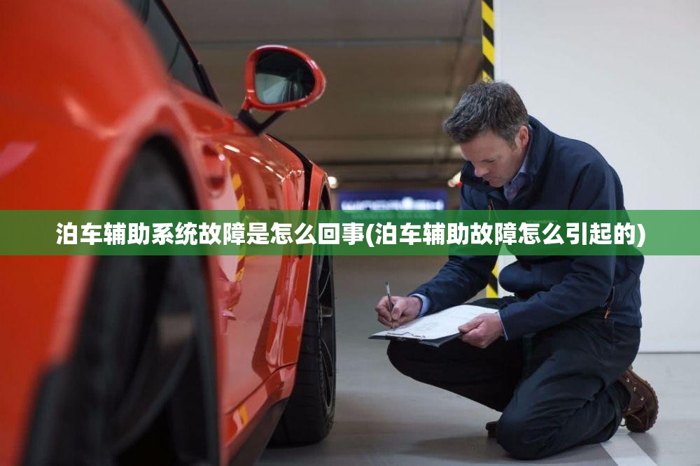 泊车辅助系统故障是怎么回事(泊车辅助故障怎么引起的)
