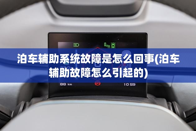 泊车辅助系统故障是怎么回事(泊车辅助故障怎么引起的)