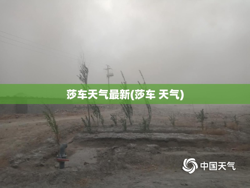 莎车天气最新(莎车 天气)