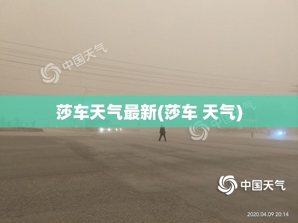 莎车天气最新(莎车 天气)