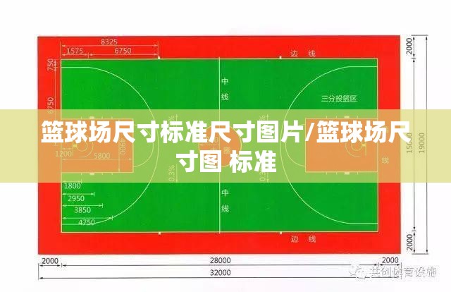 篮球场尺寸标准尺寸图片/篮球场尺寸图 标准