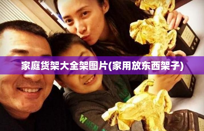 家庭货架大全架图片(家用放东西架子)