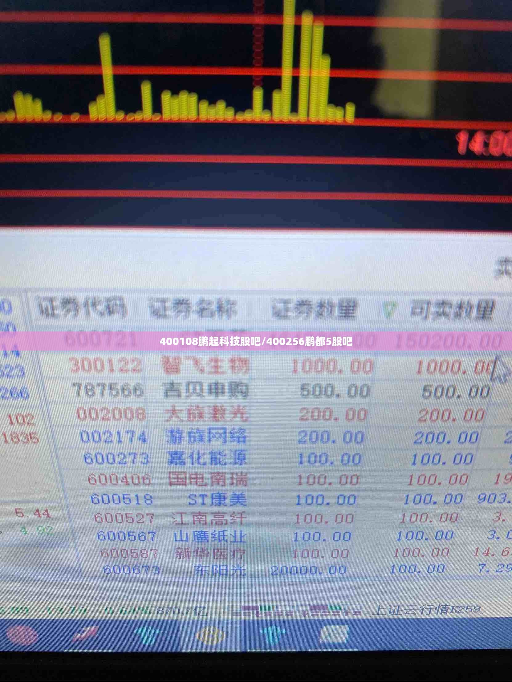 400108鹏起科技股吧/400256鹏都5股吧