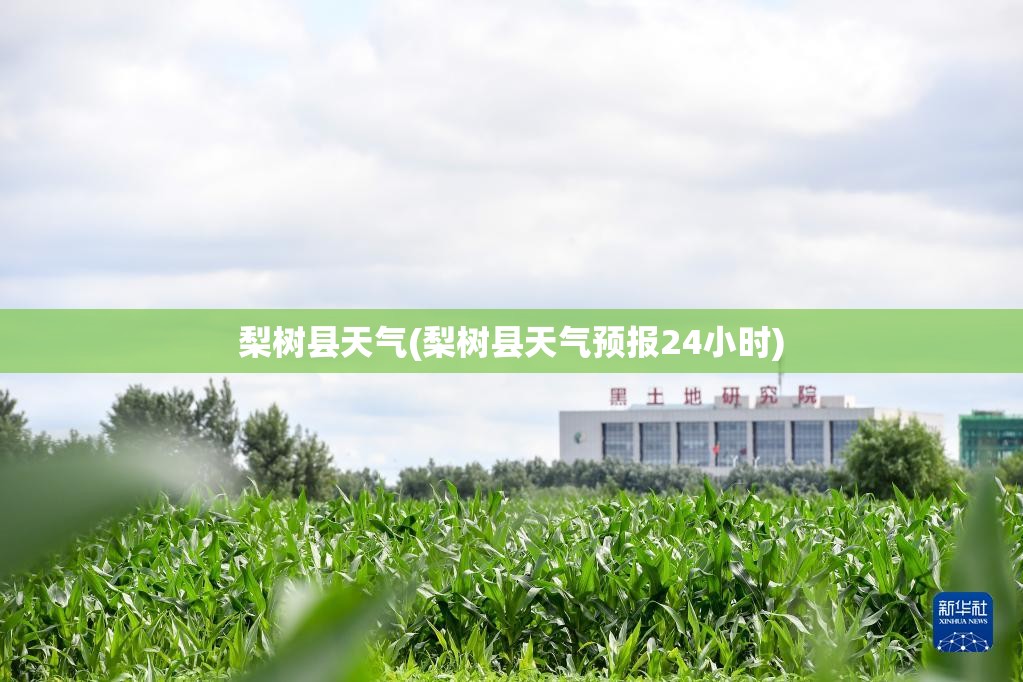 梨树县天气(梨树县天气预报24小时)