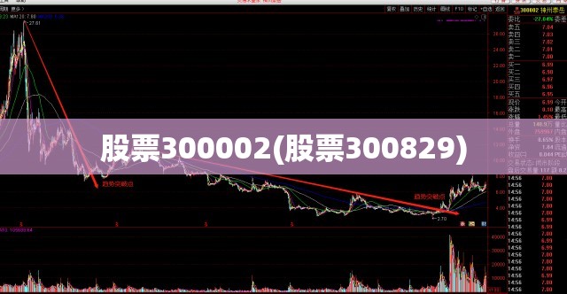 股票300002(股票300829)