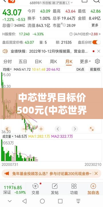 中芯世界目标价500元(中芯世界持有到2026年)