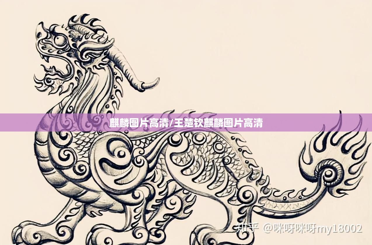 麒麟图片高清/王楚钦麒麟图片高清 麒麟图片高清/王楚钦麒麟图片高清