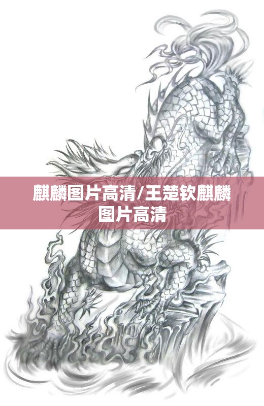 麒麟图片高清/王楚钦麒麟图片高清 麒麟图片高清/王楚钦麒麟图片高清