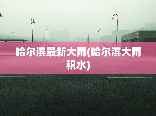 哈尔滨最新大雨(哈尔滨大雨积水) 哈尔滨最新大雨(哈尔滨大雨积水)