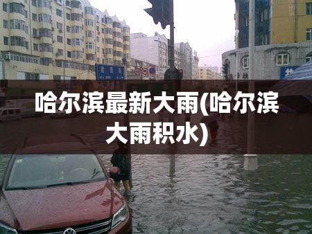 哈尔滨最新大雨(哈尔滨大雨积水) 哈尔滨最新大雨(哈尔滨大雨积水)