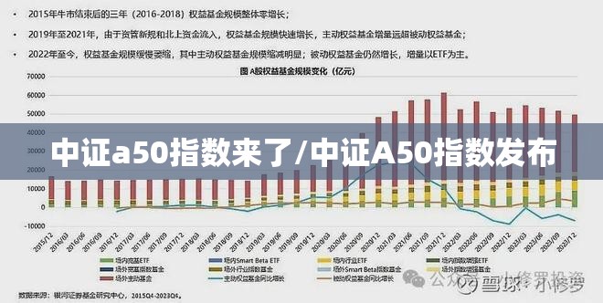 中证a50指数来了/中证A50指数发布
