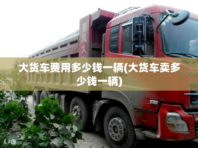 大货车费用多少钱一辆(大货车卖多少钱一辆)
