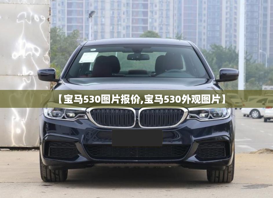 【宝马530图片报价,宝马530外观图片】