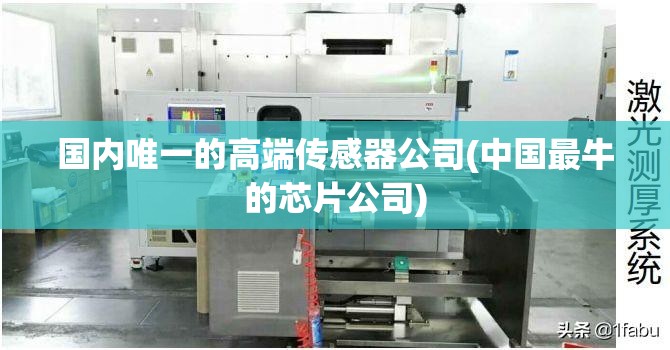 国内唯一的高端传感器公司(中国最牛的芯片公司) 国内唯一的高端传感器公司(中国最牛的芯片公司)