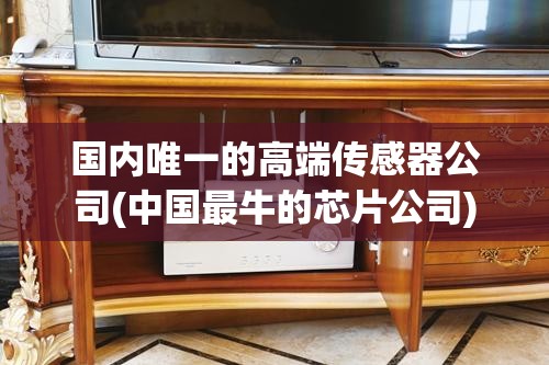 国内唯一的高端传感器公司(中国最牛的芯片公司) 国内唯一的高端传感器公司(中国最牛的芯片公司)