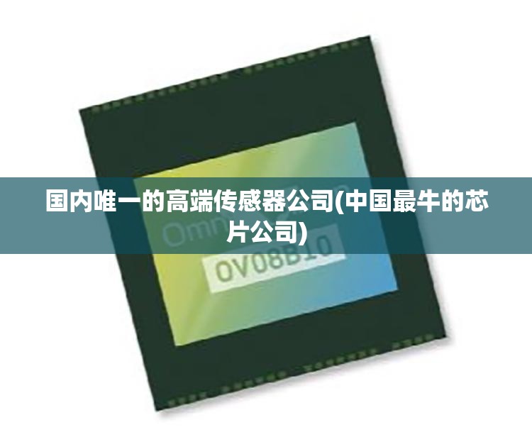国内唯一的高端传感器公司(中国最牛的芯片公司) 国内唯一的高端传感器公司(中国最牛的芯片公司)