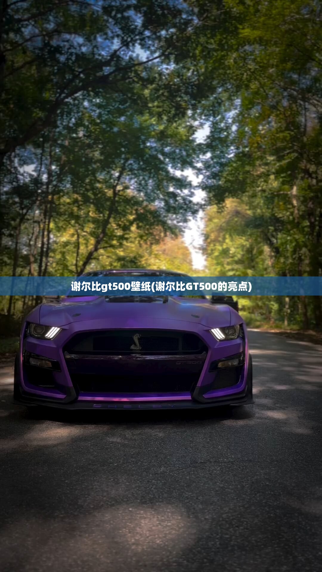 谢尔比gt500壁纸(谢尔比GT500的亮点)