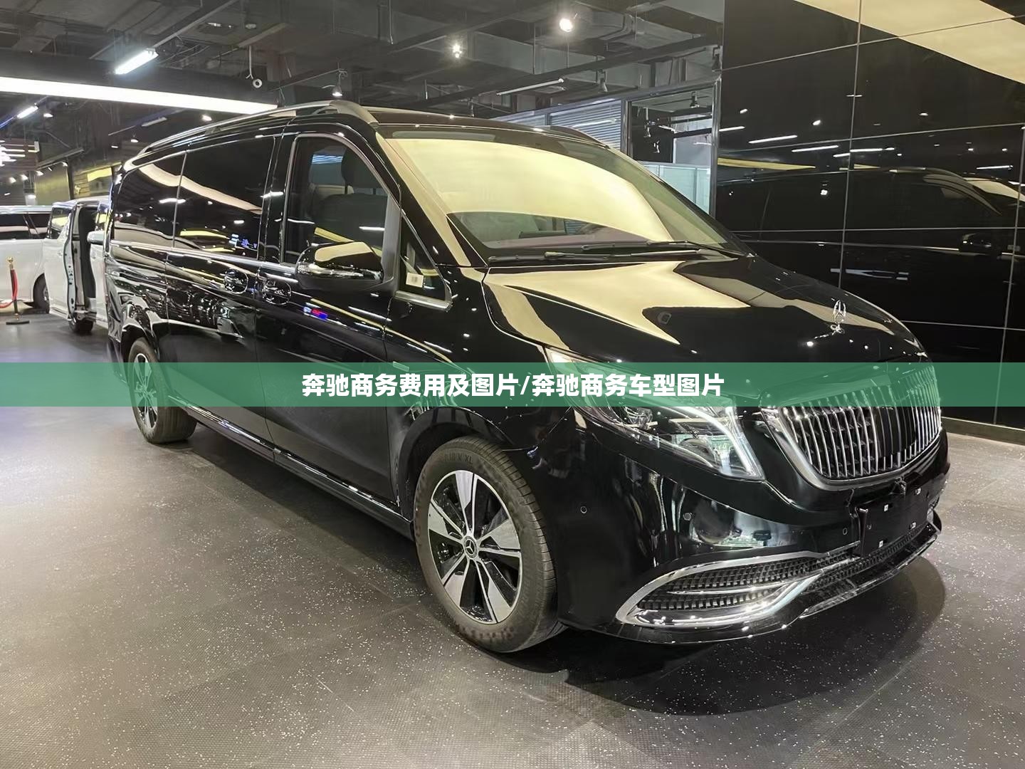 奔驰商务费用及图片/奔驰商务车型图片