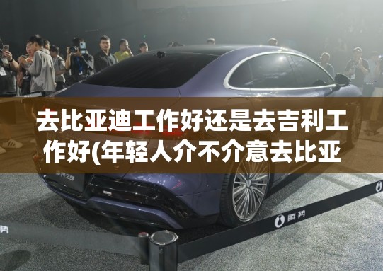 去比亚迪工作好还是去吉利工作好(年轻人介不介意去比亚迪工作)
