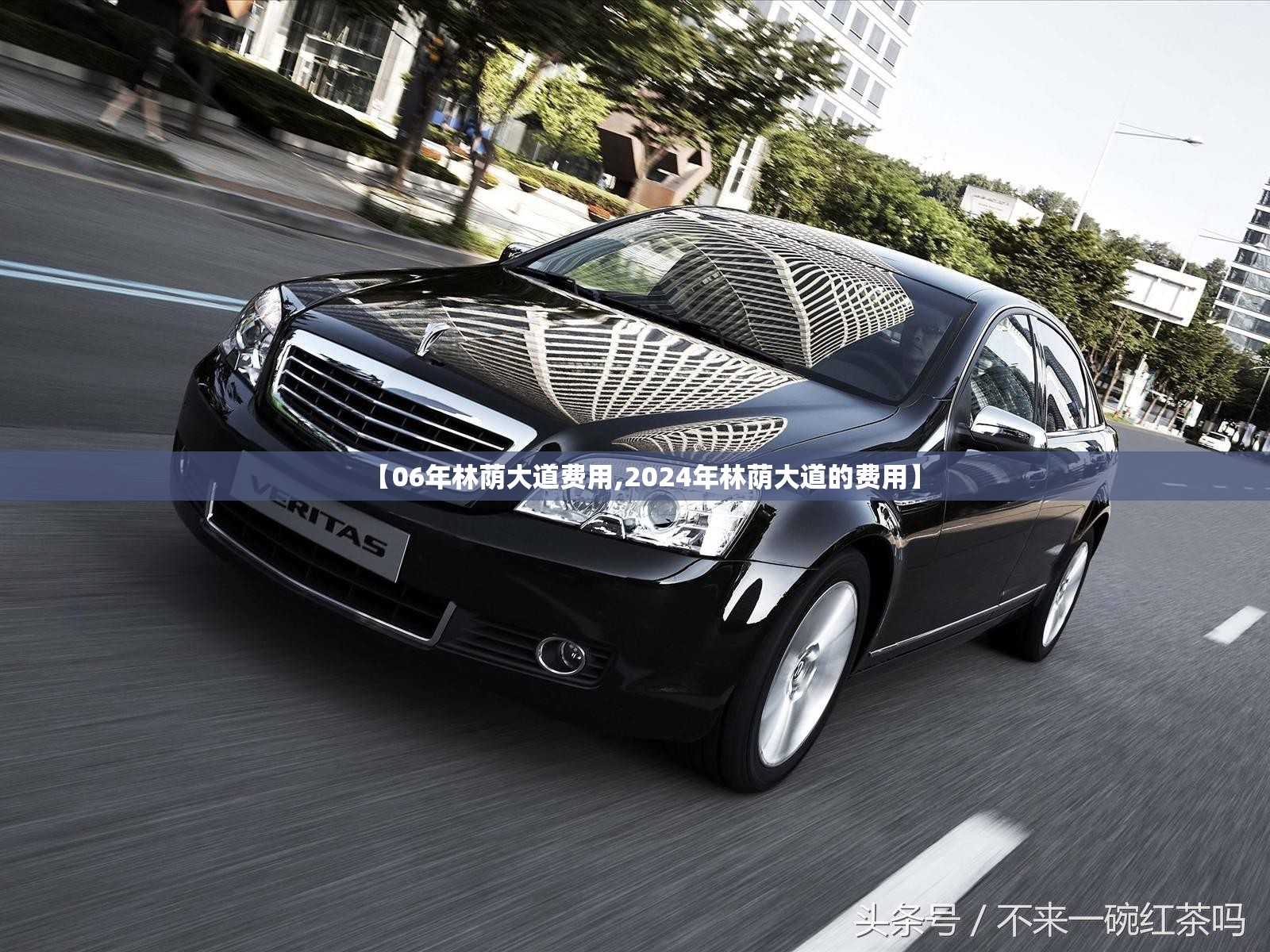【06年林荫大道费用,2024年林荫大道的费用】 【06年林荫大道费用,2024年林荫大道的费用】