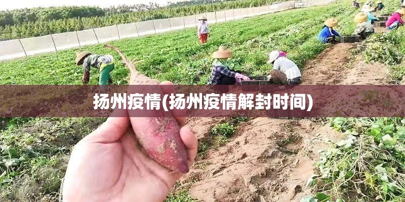 扬州疫情(扬州疫情解封时间)