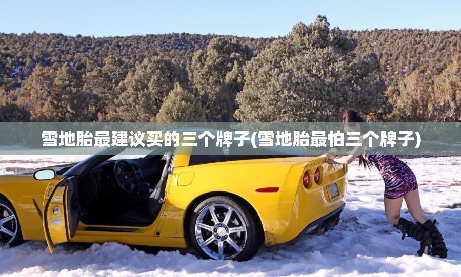 雪地胎最建议买的三个牌子(雪地胎最怕三个牌子)