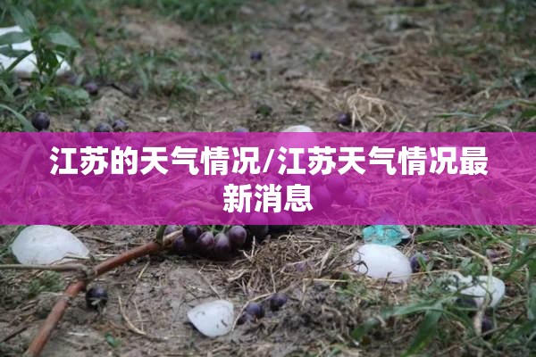 江苏的天气情况/江苏天气情况最新消息
