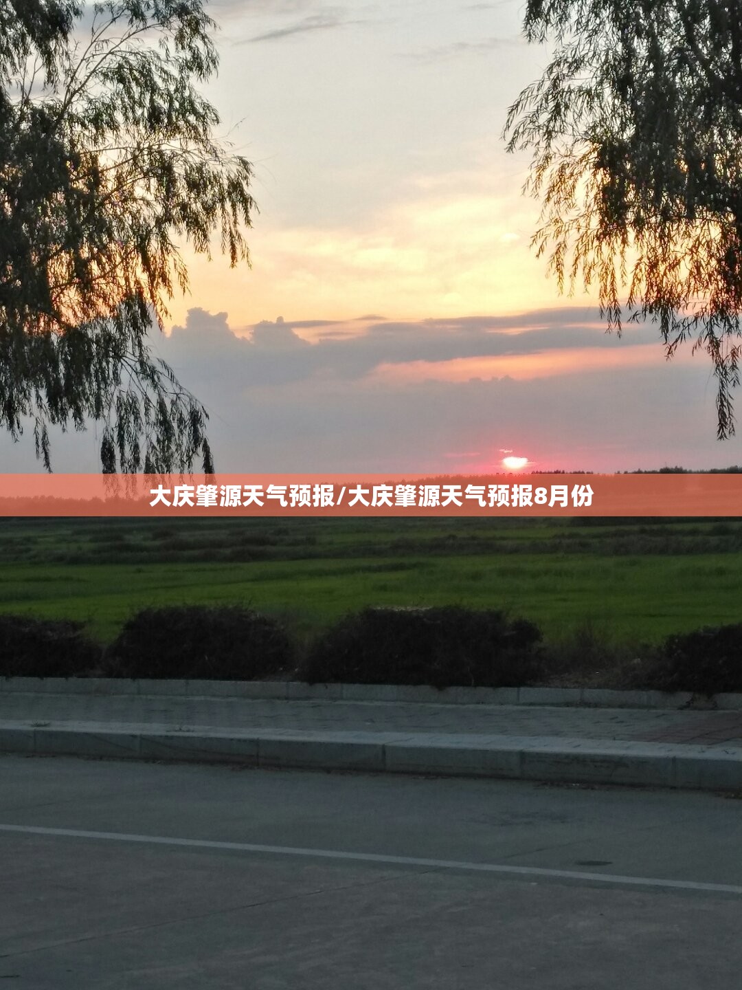 大庆肇源天气预报/大庆肇源天气预报8月份 大庆肇源天气预报/大庆肇源天气预报8月份