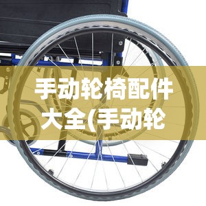 手动轮椅配件大全(手动轮椅配件大全图片)