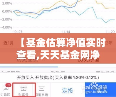 【基金估算净值实时查看,天天基金网净值查询】