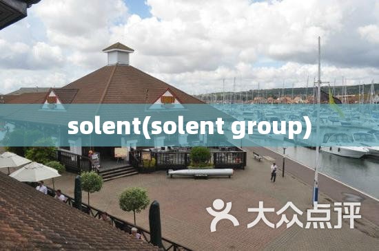 solent(solent group)