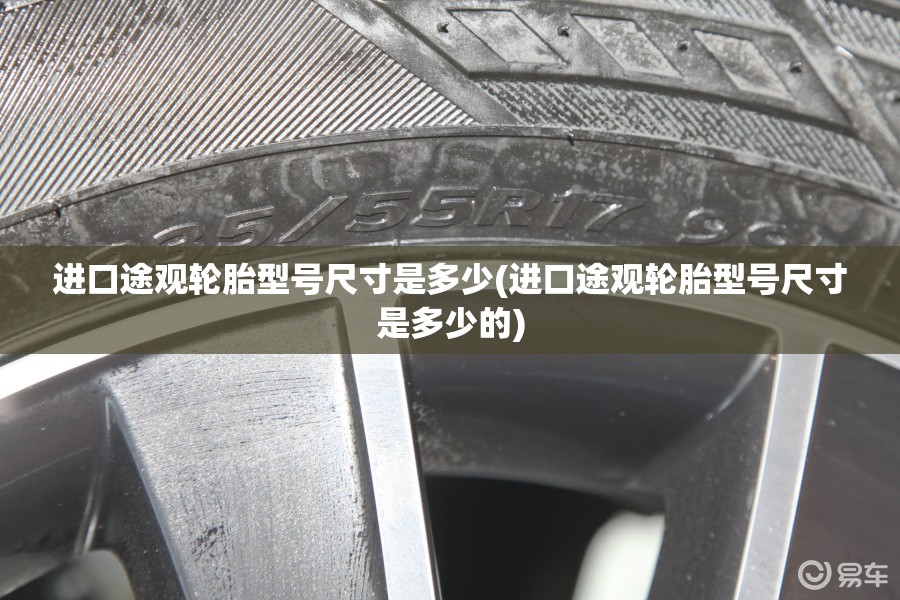 进口途观轮胎型号尺寸是多少(进口途观轮胎型号尺寸是多少的)