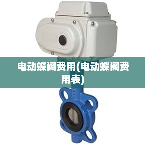 电动蝶阀费用(电动蝶阀费用表)