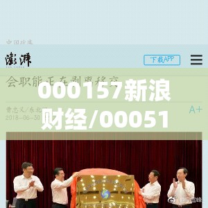 000157新浪财经/000514新浪财经