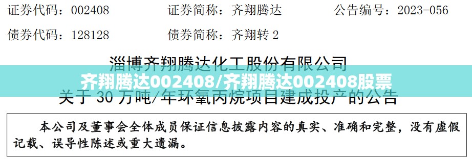 齐翔腾达002408/齐翔腾达002408股票 齐翔腾达002408/齐翔腾达002408股票